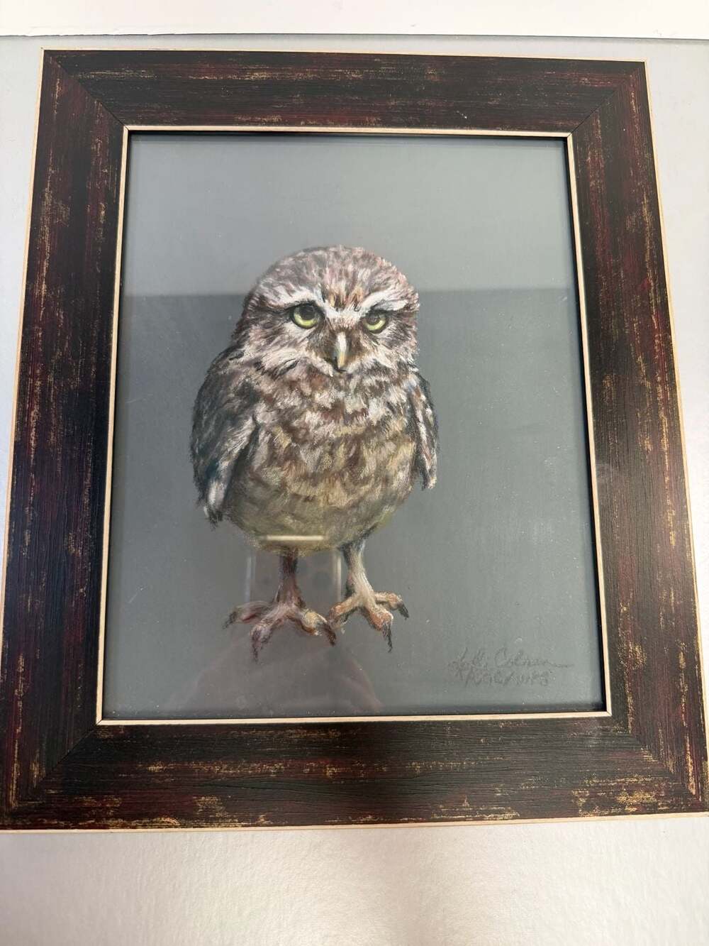 Kathi Colman Original Pastel‎ Drawing Burrowing Owl Framed Art